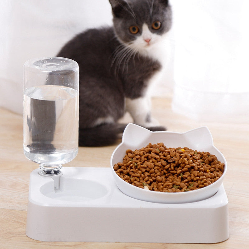 Pet Feeding Double Bowl