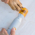 Premium Painless Nail Clipper for Pets - All Size Dogs
