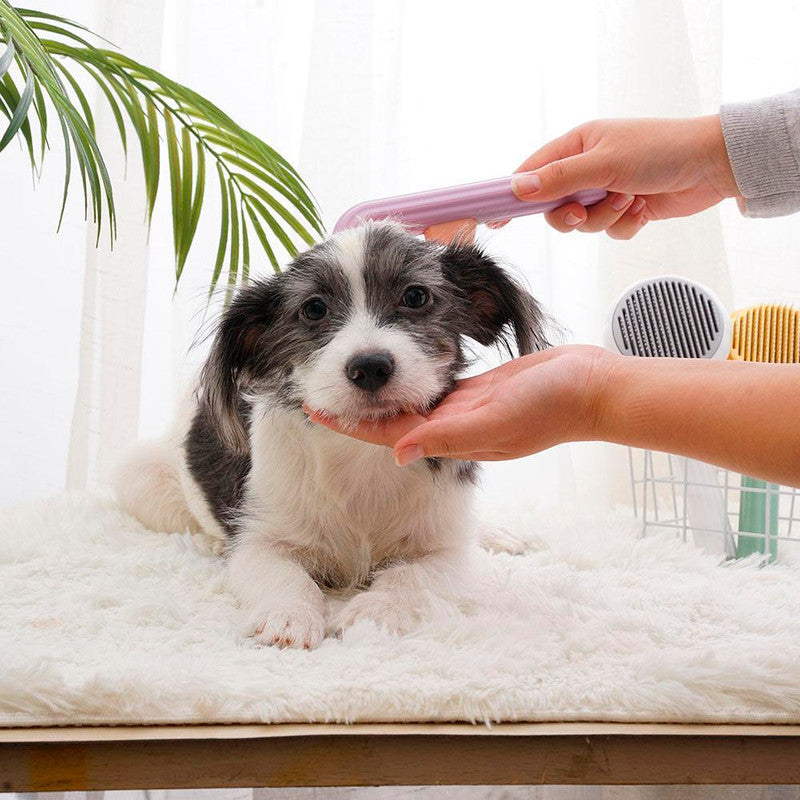 Pumpkin Brush Pet Deshedder
