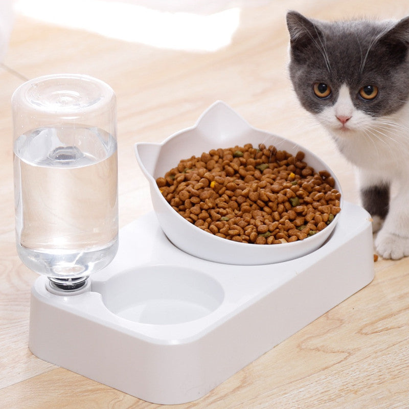 Pet Feeding Double Bowl